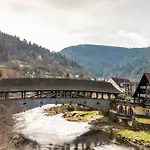Am Sersbach Διαμέρισμα *