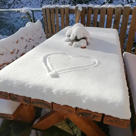 Apartamento Am Sersbach Forbach