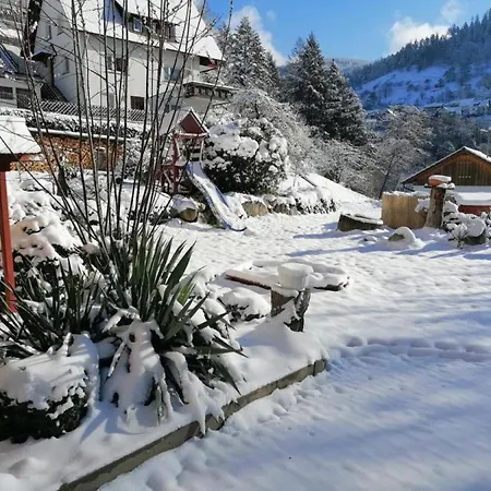 Διαμέρισμα Am Sersbach *